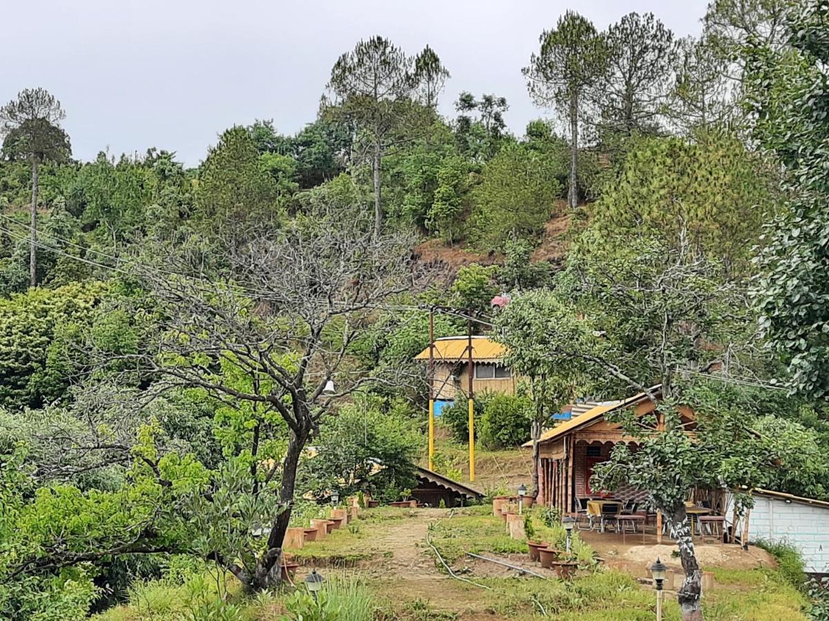Mukteshwar Grand Retreat مكتزور المظهر الخارجي الصورة